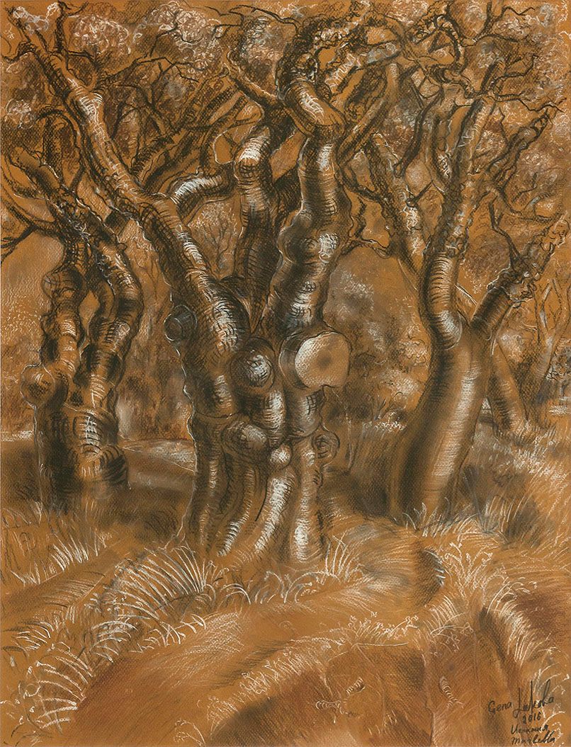 Drawing “Olive tree”: a gnarled olive trunk with bare branches and stones at its foot, in black lines with white highlights on brown paper.