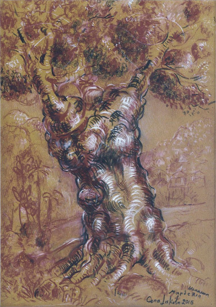 Drawing “Olive tree”: a thick, knotted olive trunk with a dense reddish-brown crown, drawn with white highlights on yellow-brown paper.