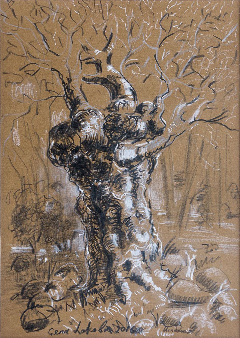 Drawing “Olive tree”: a gnarled olive trunk with bare branches and stones at its foot, in black lines with white highlights on brown paper.